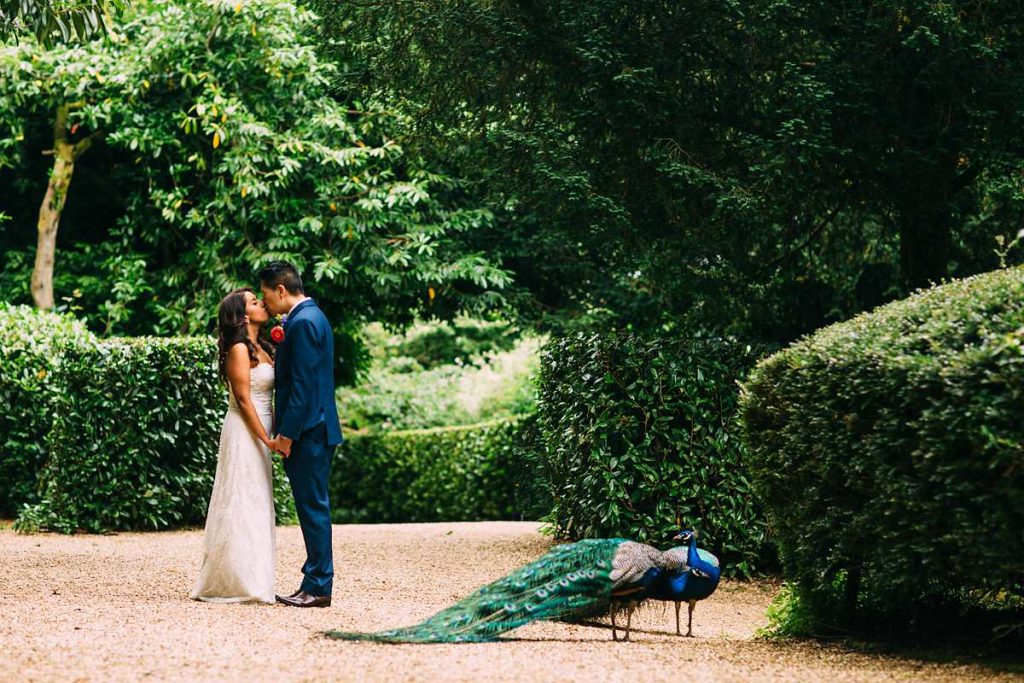 larmer tree wedding photographer