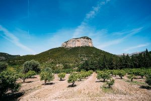 Finca Son Berga Wedding | Maggie & Nathan Mallorca Wedding Photos