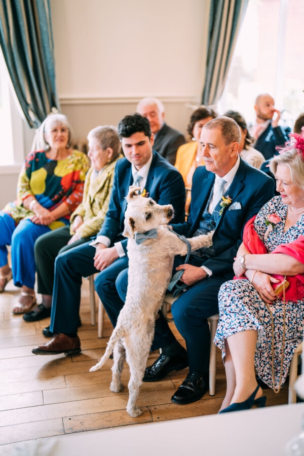 dog at wedding ceremony