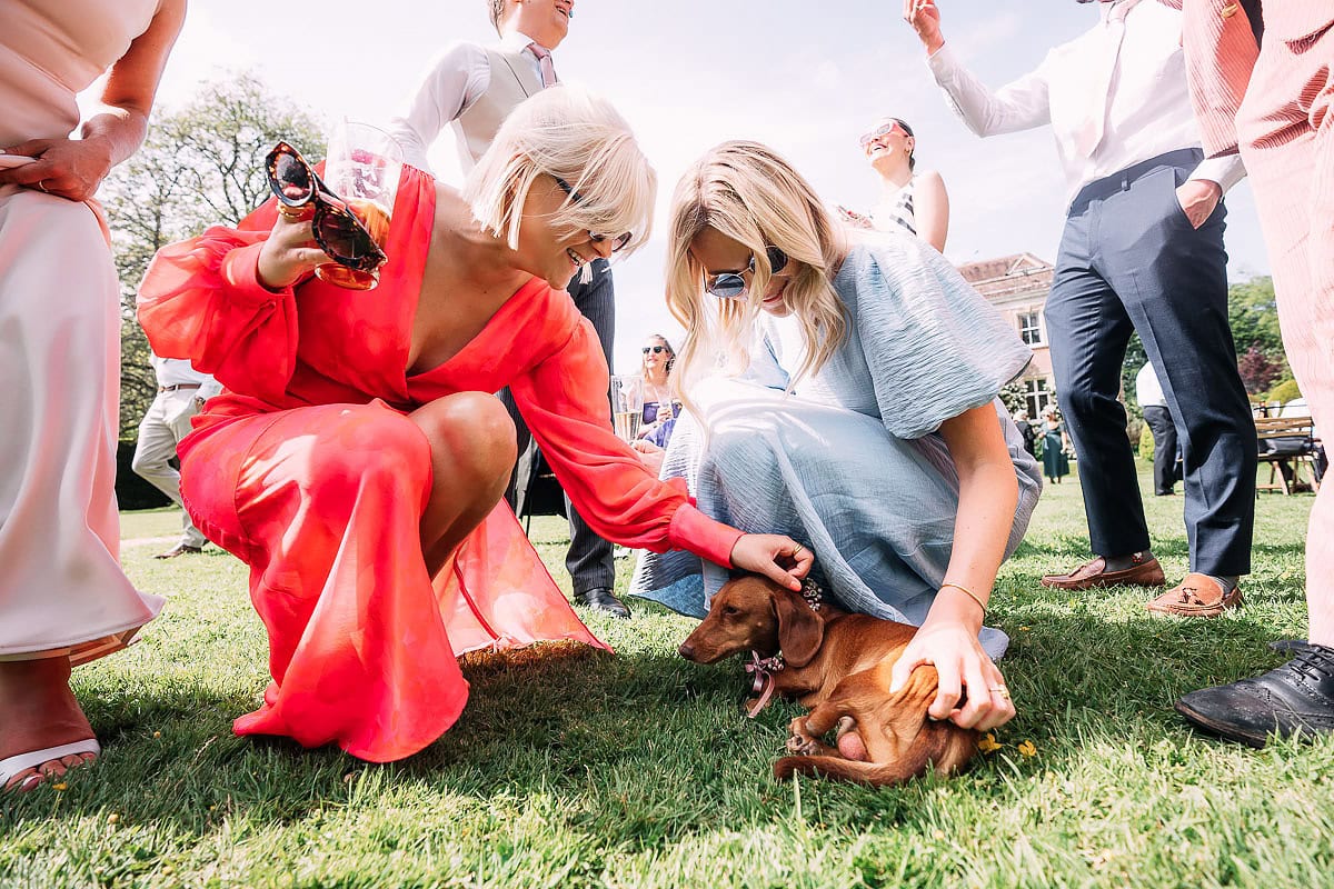 wedding guests stroke their dog