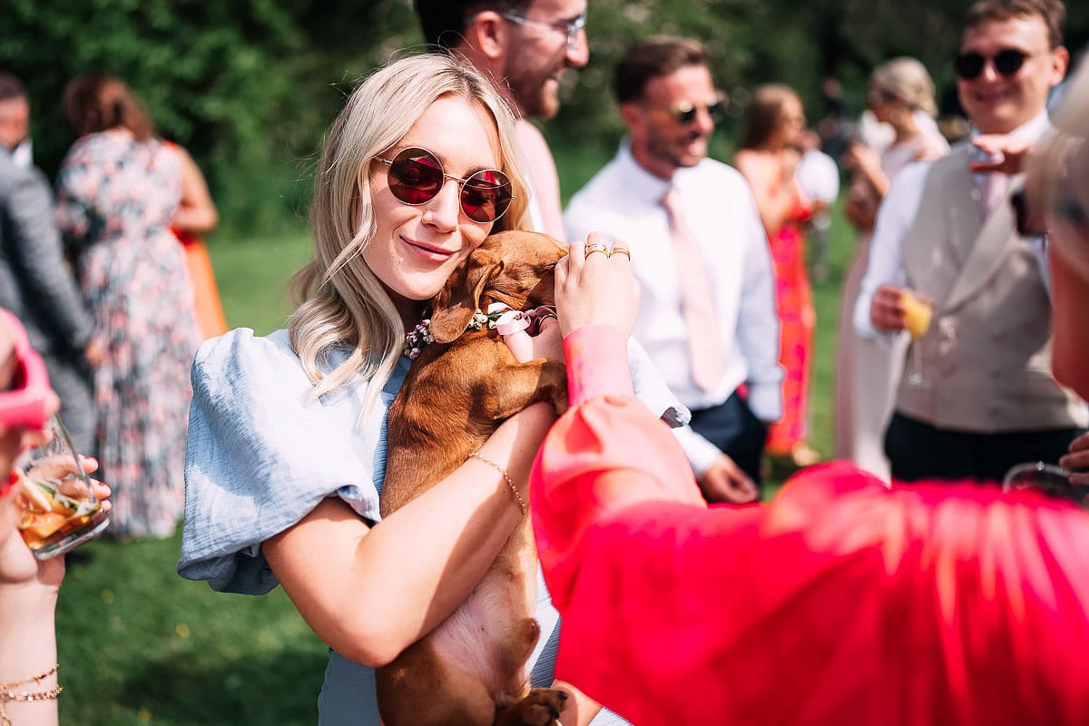 photo of sausage dog at a wedding
