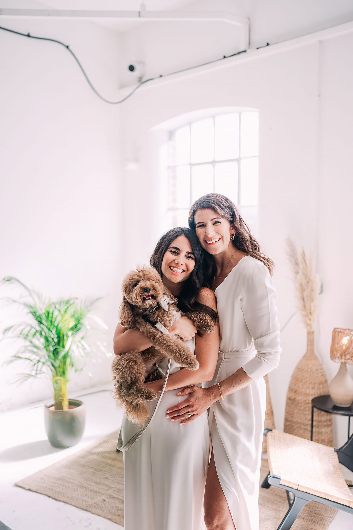 dog at a wedding