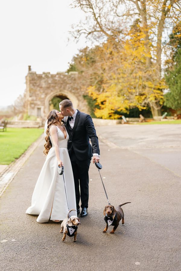 sausage dogs at a wedding
