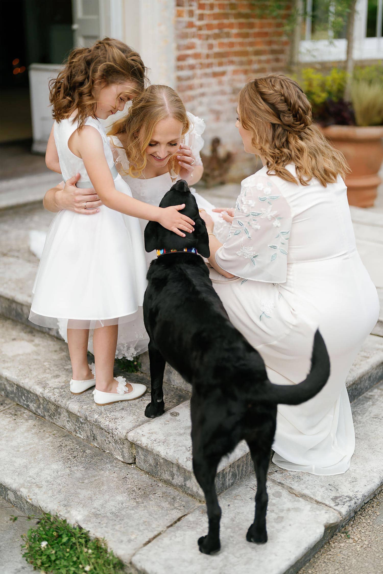 bride and dog
